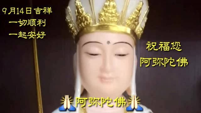 南无观世音菩萨,勤修习菩萨业行善根