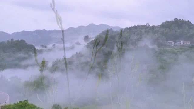 一山一人一世界,女孩子放弃城市生活独居山野,这环境可活百岁!