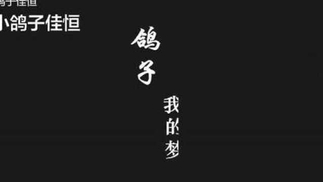 这是在哪里修建的鸽窝?看起来很独特,鸽子都很喜欢