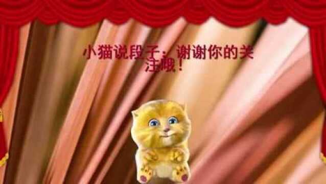 小猫讲笑话:和二猫去银行取钱,丢人丢到家了,笑出眼泪了!