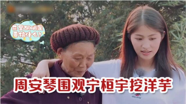 周安琴围观宁桓宇挖洋芋,周安琴:你觉得他可以吗,奶奶笑而不语