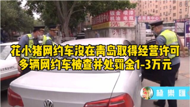 青岛多名“小花猪”网约车司机被查,因平台未取得经营许可司机被罚13万