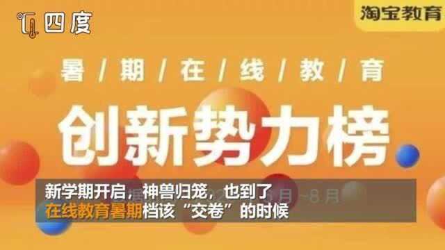 暑期在线教育交卷啦!整体增长300%?成人教育品牌成交额占8成