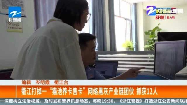 衢江打掉一“猫池养卡售卡”网络黑灰产业链团伙 抓获12人