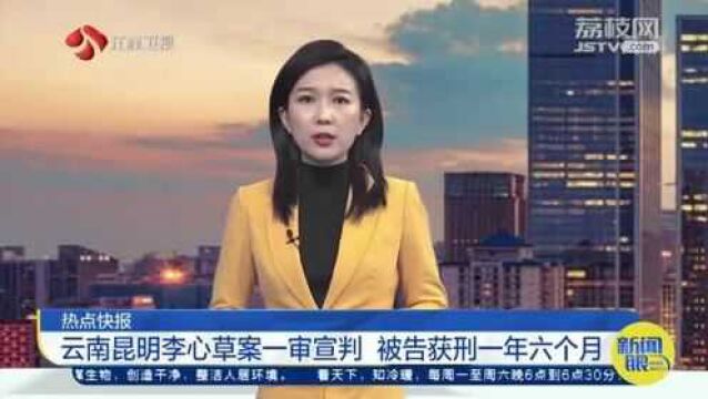 云南昆明李心草案一审宣判 被告获刑一年六个月