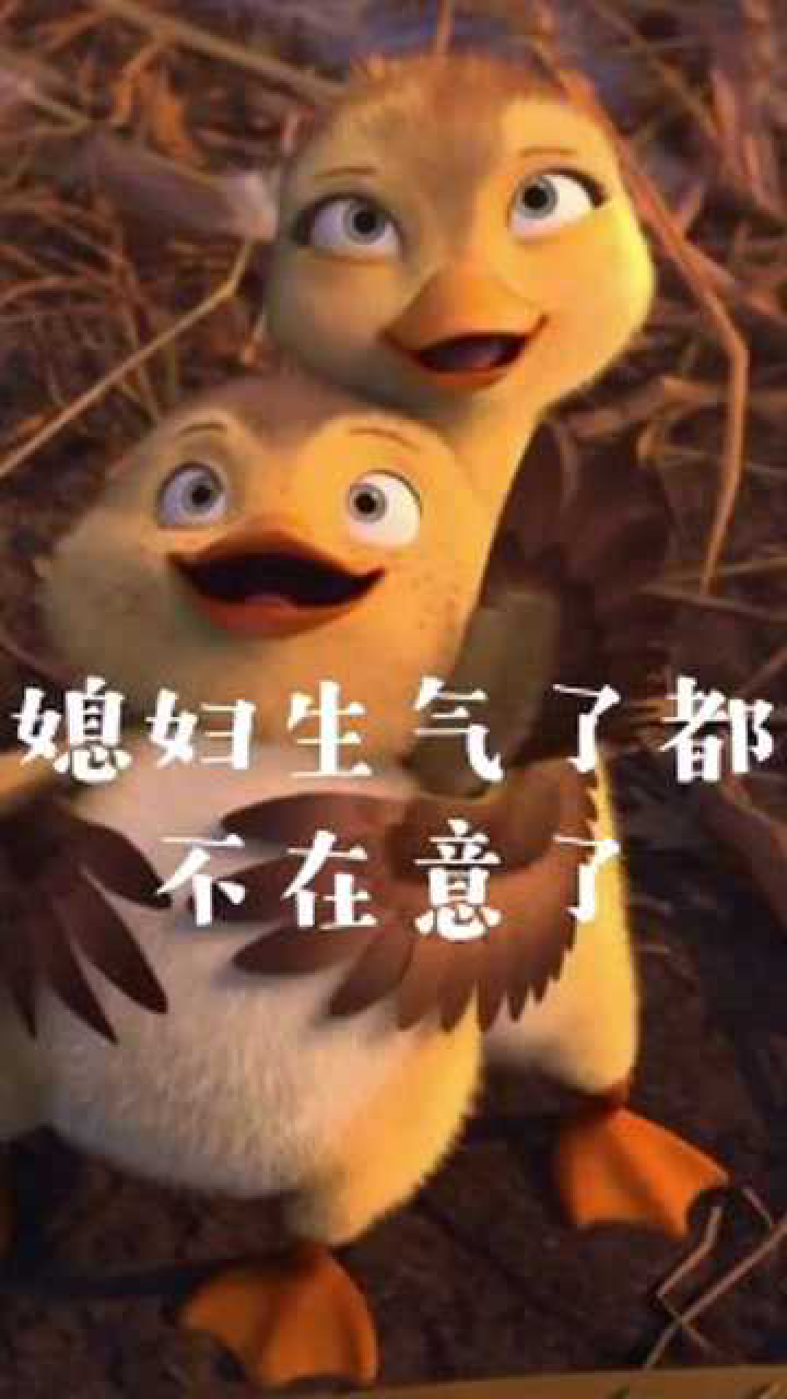 孩子帮我哄哄你妈妈呗