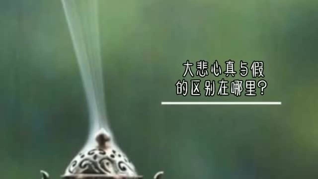 大悲心真与假的区别在哪里?