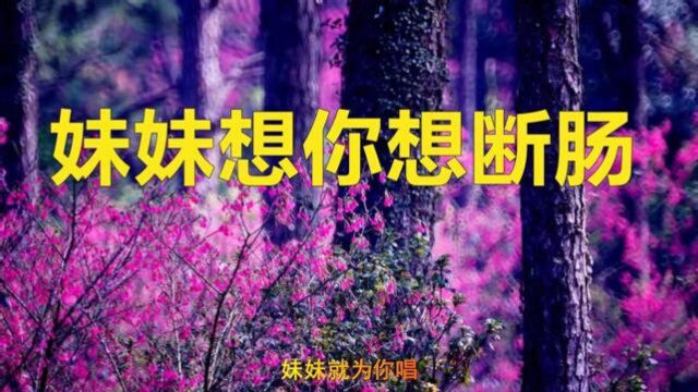 王二妮陕北民歌《情哥哥》柔情似水,甜丝丝的,叫人越听越爱听!