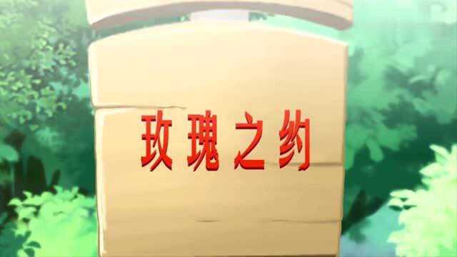 小花仙:平常看到的玫瑰都偏向于月季,真的玫瑰花只有三个品种