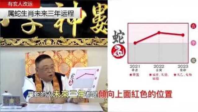 李居明八字神数网课精选:属蛇生肖未来三年运程