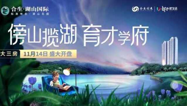 合景湖山国际