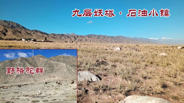 雪山,野骆驼群,九层妖塔取景地博罗转井石油小镇只有一片废墟