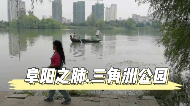 阜阳之肺.安徽省阜阳市三角洲公园.退休后自驾游美丽中国