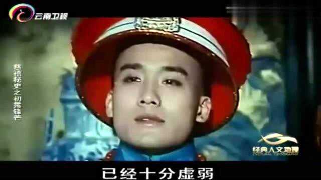 1861年,咸丰皇帝刚过完31岁生日,第二天竟发生天大的事!