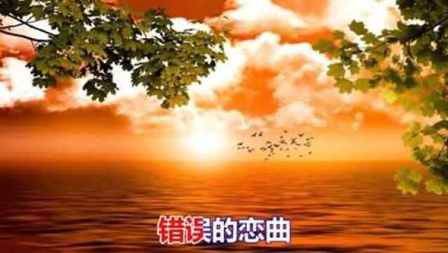 一首经典情歌《错误的恋曲》