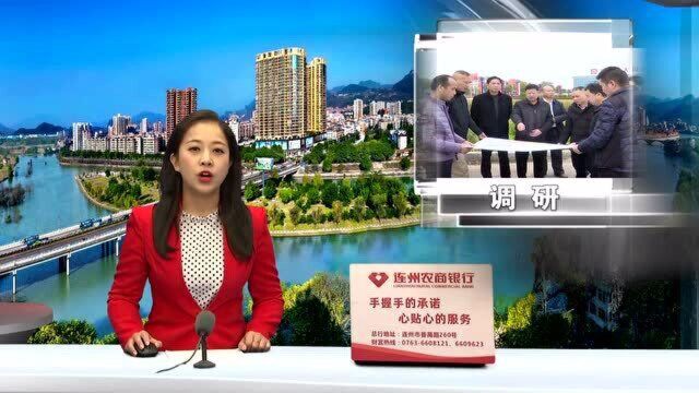 唐庆卫率队调研市区路网规划相关工作