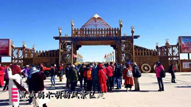 国家AAAA级旅游景区,距策克边境口岸60公里,黑城弱水胡杨(一)