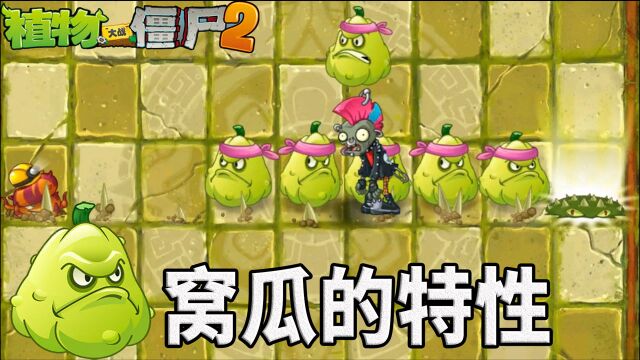 Pvz2窝瓜的奇妙特性 就这么喜欢套路窝瓜?