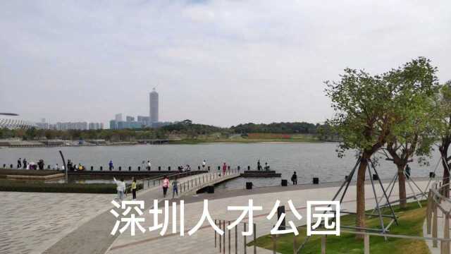 到人才公园,看浅水鱼群