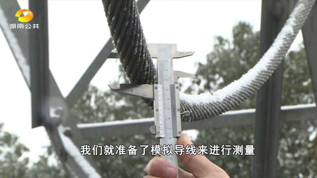 国网长沙输电检修公司:铁塔下坚守岗位,一天上山两巡