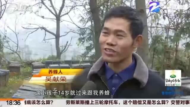 加油吧 后浪!衢州中专王宇浩:14岁就有自己的蜂场