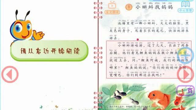 二年级语文上册第一课《小蝌蚪找妈妈》