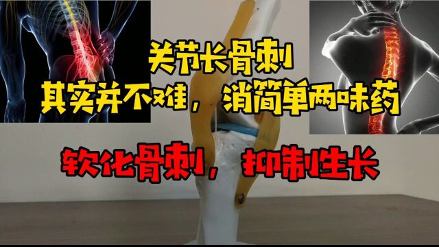 关节长骨刺,其实并不难消,简单两位药,软化骨刺,抑制生长