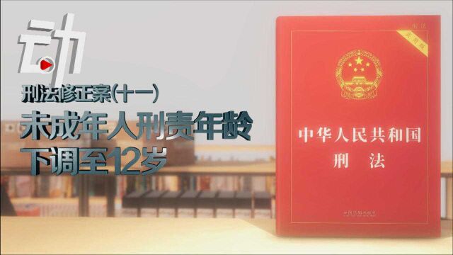 动画解读刑法最新修改内容:未成年人刑责年龄下调至12岁