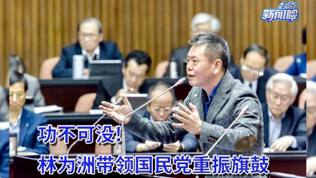 林为洲有血性敢斗争,带领国民党重振旗鼓,功不可没