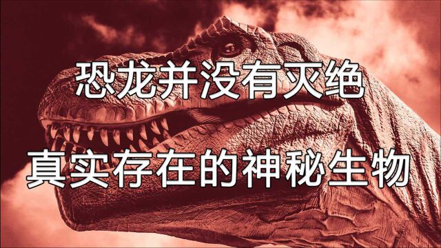 曾经统治地球的恐龙,真的在6500万年前全部灭绝了吗?