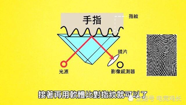 指纹识别是怎么运行的呢?解析指纹识别技术的原理!