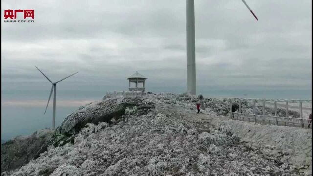 江西寻乌:项山甑雾凇云海宛如仙境