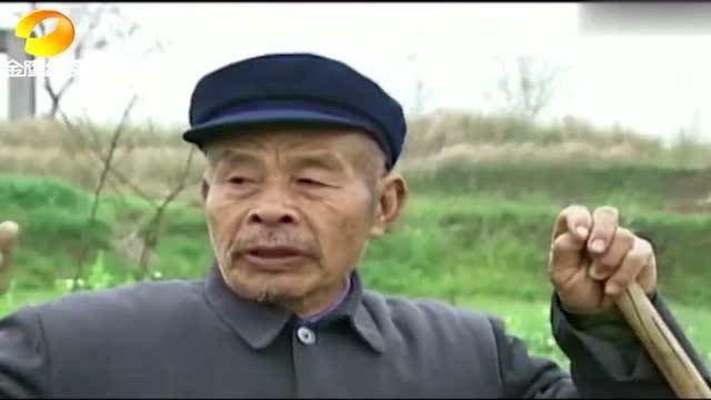 太平村怪事频出,不断有村民离奇死亡和出事,这里到底有何秘密?