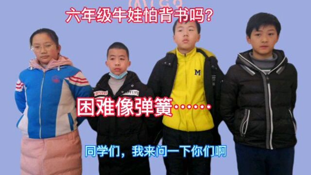 六年级牛娃怕背书吗?困难像弹簧……