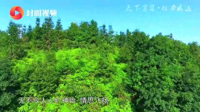 采纳人大代表建议 四川威远加快建设文旅强县