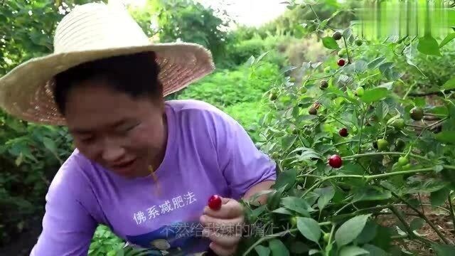 胖妹去芝麻地溜达一圈,回来做猪油拌饭,香气四溢太好吃