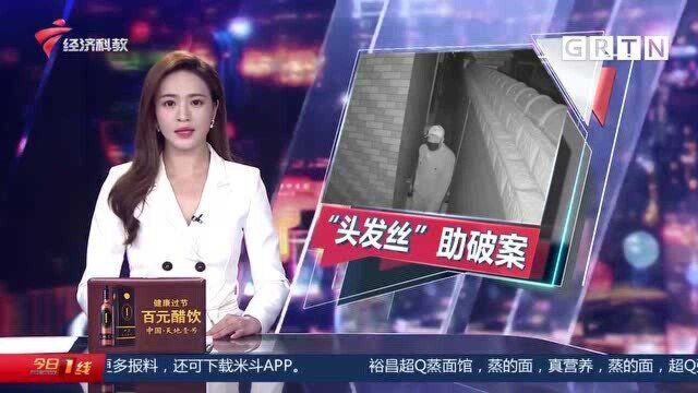 深圳:盗窃百万财物后手舞足蹈?最终还是栽了“头发丝”助破案