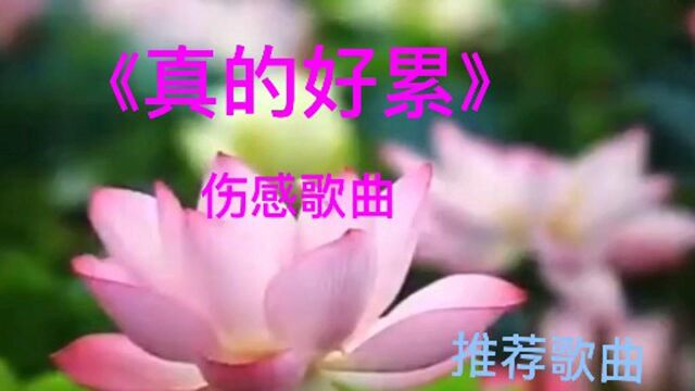 伤感歌曲《真的好累》