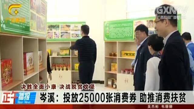 岑溪投放25000张消费券,拉动农村特色农产品销售,助推消费扶贫!