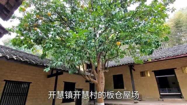 实拍伟大的革命烈士杨开慧故居,为什么来参观的人这么少?