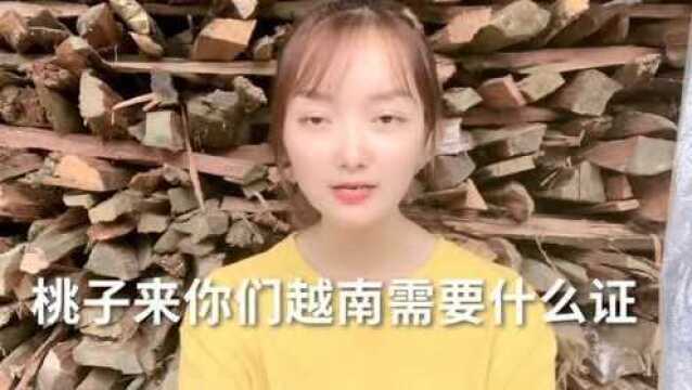 越南安全吗?治安好不好为什么有中国人来越南会被打这一说?