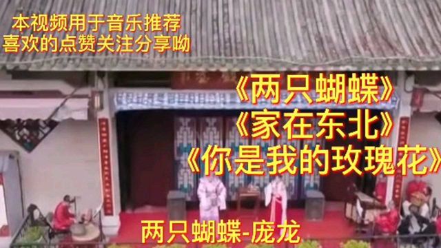 庞龙经典歌曲