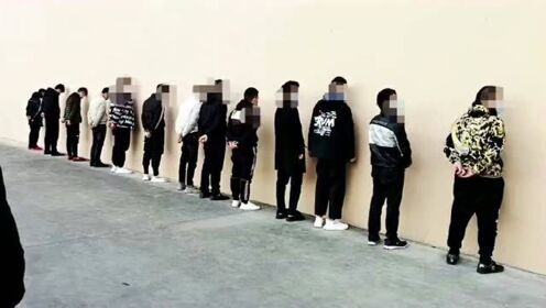 Thumbplayer Poster Plugin Image