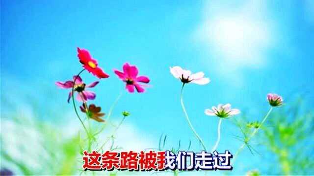 一首网络歌曲《如果没有如果》