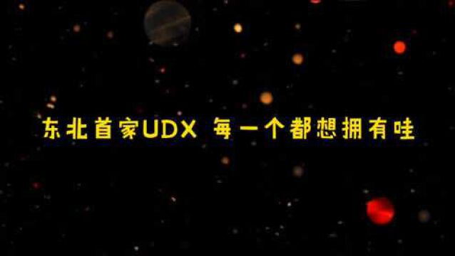 东北首家UDX潮玩俱乐部,看了就想拥有,祝各位入坑愉快!