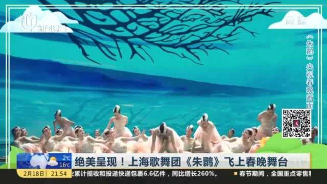 夜线约见:《朱鹮》蹁跹,“海派文艺”振翅