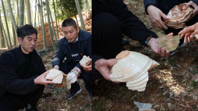 宋代瓷窑址再现建瓯小松镇,因泥土松动暴露多个窑口