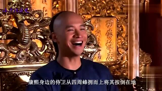 康熙亲手办了鳌拜,为何不杀他,晚年还给他平反,鳌拜被冤枉了吗