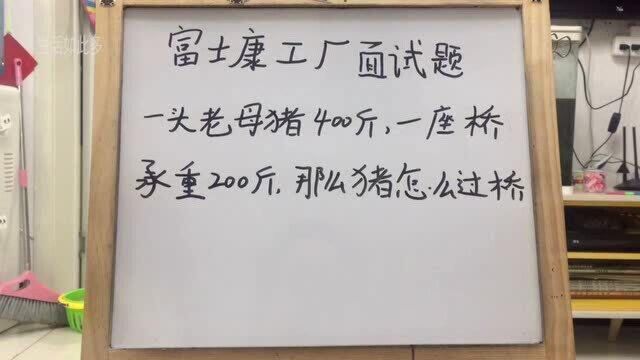 富士康工厂内部员工晋升面试题,你们该怎么回答?才能让母猪顺利过桥!