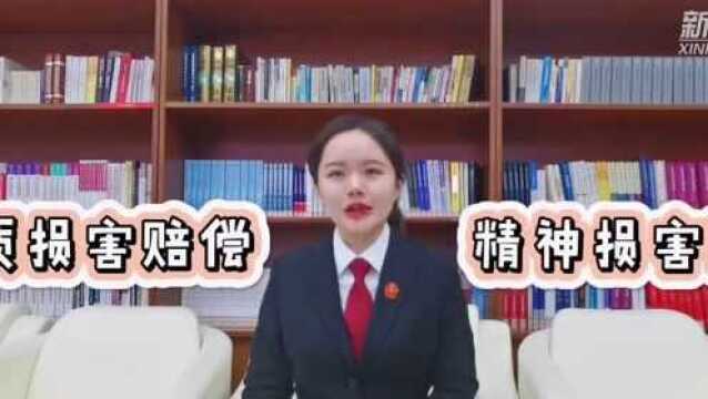 民法典有话说|离婚纠纷中认定了家庭暴力会有哪些法律后果?